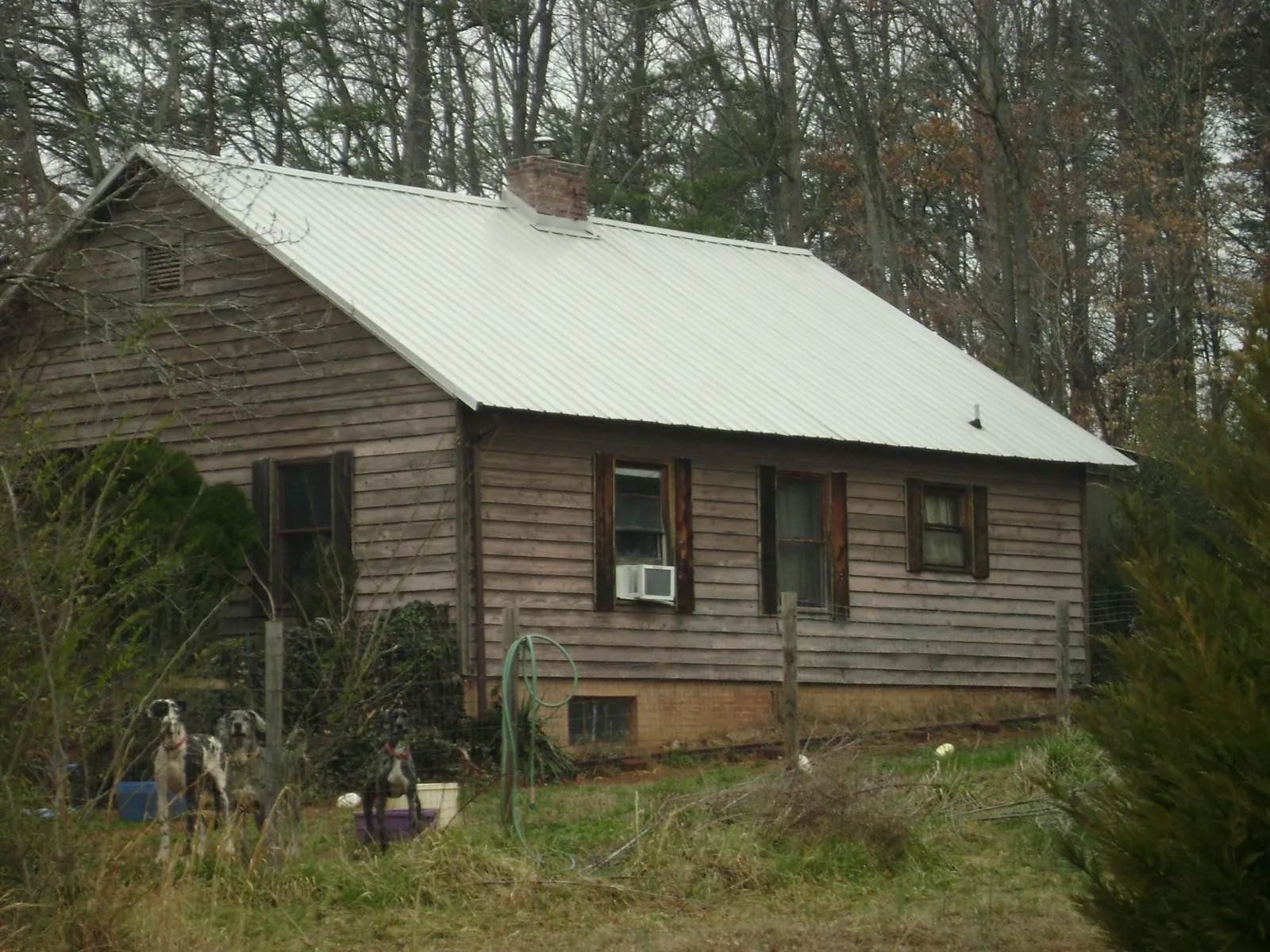 White metal roof on an old wood sided farmhouse, from a Asphalt Shingle Roof Repair job in Turon